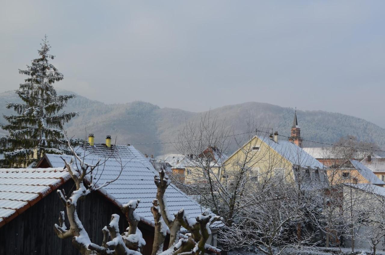 L'Atelier Des Sens Bed & Breakfast Wintzenheim Exterior photo